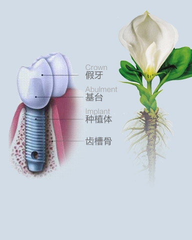 天津东丽区无痛人流医院